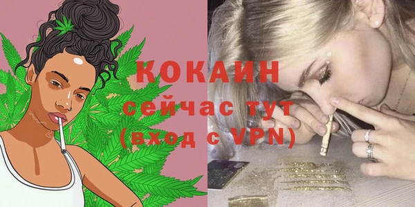 дурь Тайга