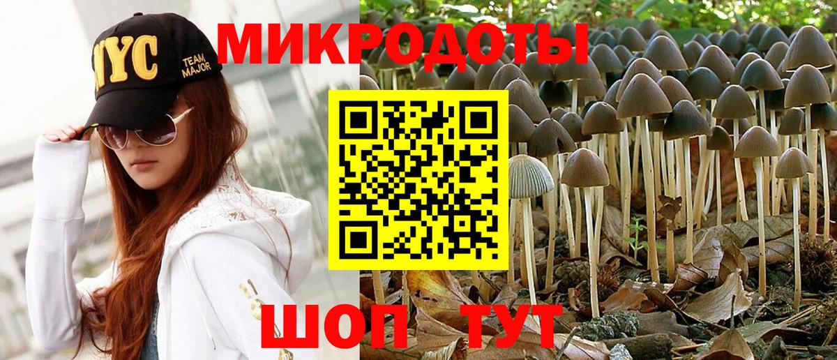 Северобайкальск  Галлюциногенные грибы Magic Shrooms  Вход с VPN 