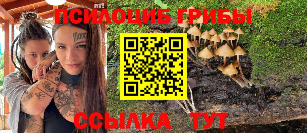 Галлюциногенные грибы Cubensis Северобайкальск